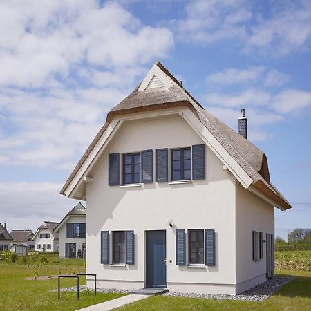 Reetland Am Meer - Premium Reetdachvilla Mit 3 Schlafzimmern, Sauna, Kamin Und Massagesessel F05 드란스케 외부 사진